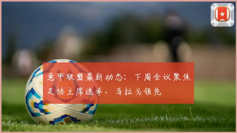 意甲联盟最新动态：下周会议聚焦足协主席选举，马拉戈领先