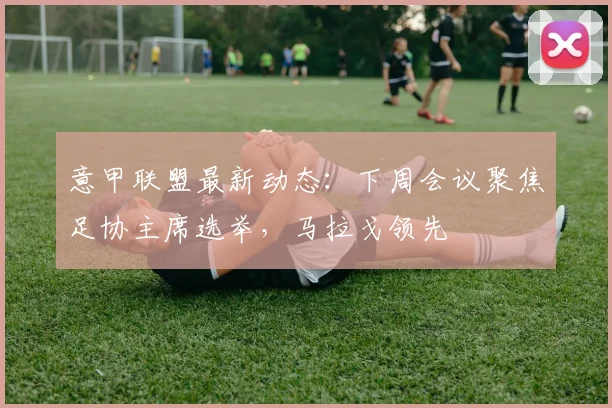 意甲联盟最新动态：下周会议聚焦足协主席选举，马拉戈领先